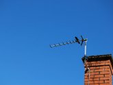 Local Aerials Fitters