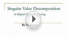 Singular Value Decomposition in Digital Signal Processing