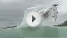 Zapping WAPALA TV: les plus gros aerials en surf, compilation!